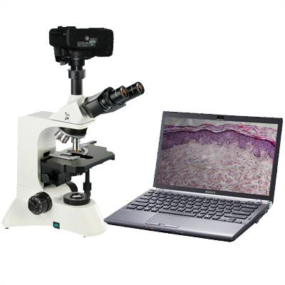 BM7A-SMUV数码照相生物显微镜