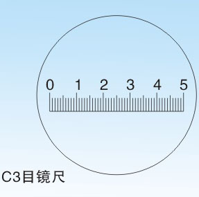 C3 型0.1尺形目镜尺